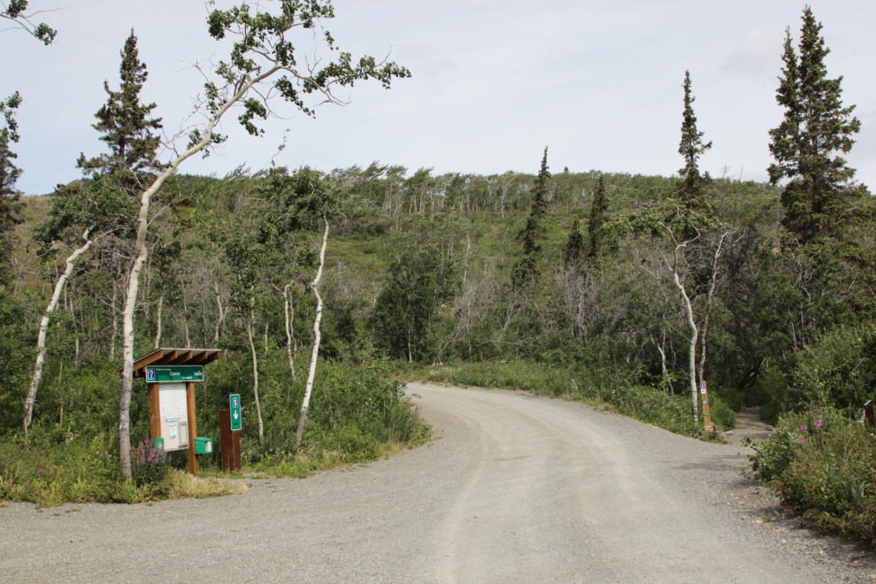 Conrad Campground, Yukon.