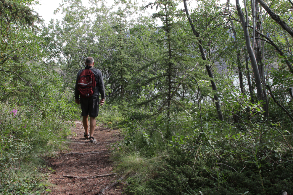 A short trail leading down to a very scenic and sheltered beach at Conrad Campground, Yukon.