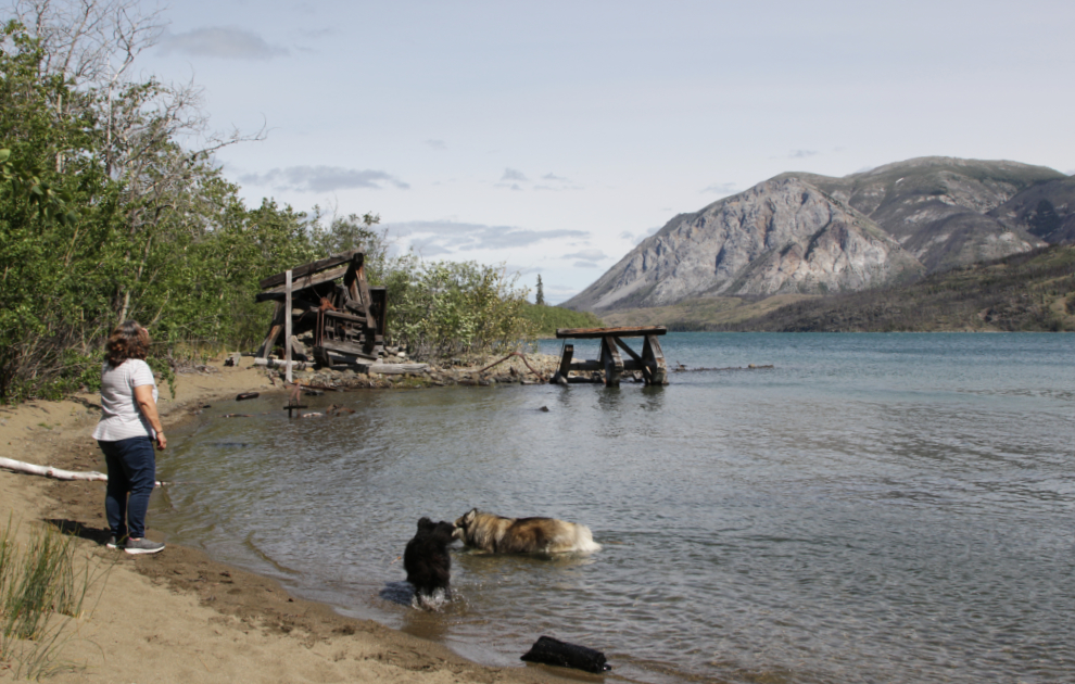 The historic Conrad townsite, Yukon.