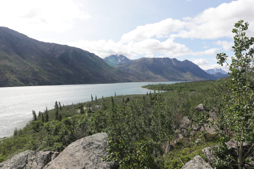 A few meters from 5 of the walk-in campsites at Conrad Camground, the views up and down Windy Arm are wonderful.