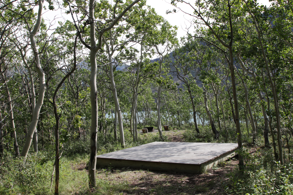 A walk-in tent site at Conrad Campground, Yukon.