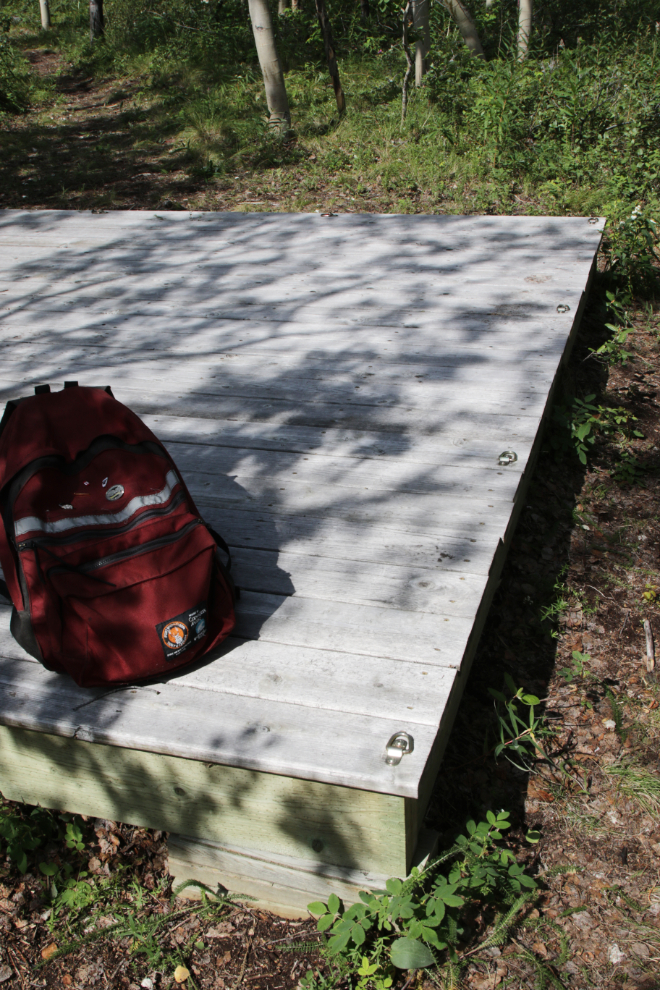 Tent platform at a walk-in tent site at Conrad Campground, Yukon.