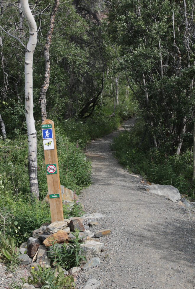 The Butterfly hiking trail at Conrad Campground, Yukon