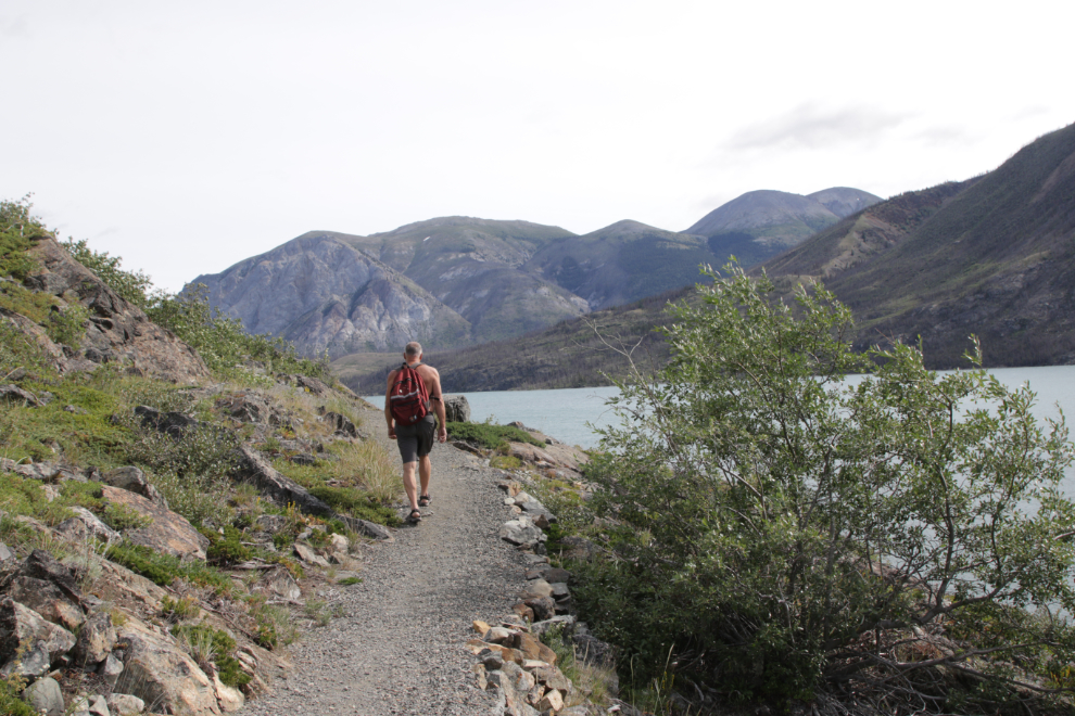 The Butterfly hiking trail at Conrad Campground, Yukon.