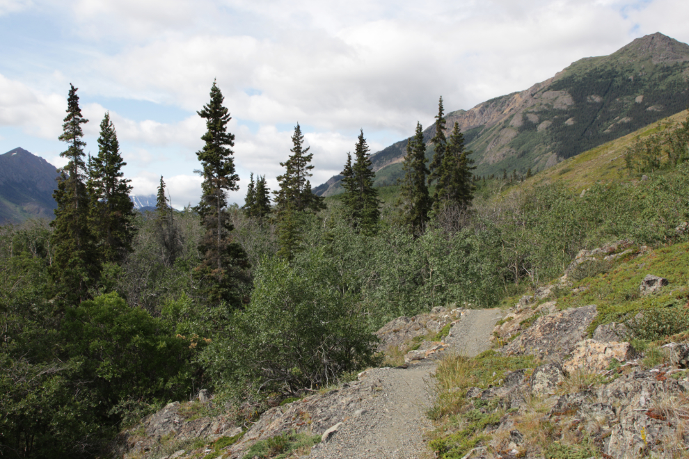 The Butterfly hiking trail at Conrad Campground, Yukon.