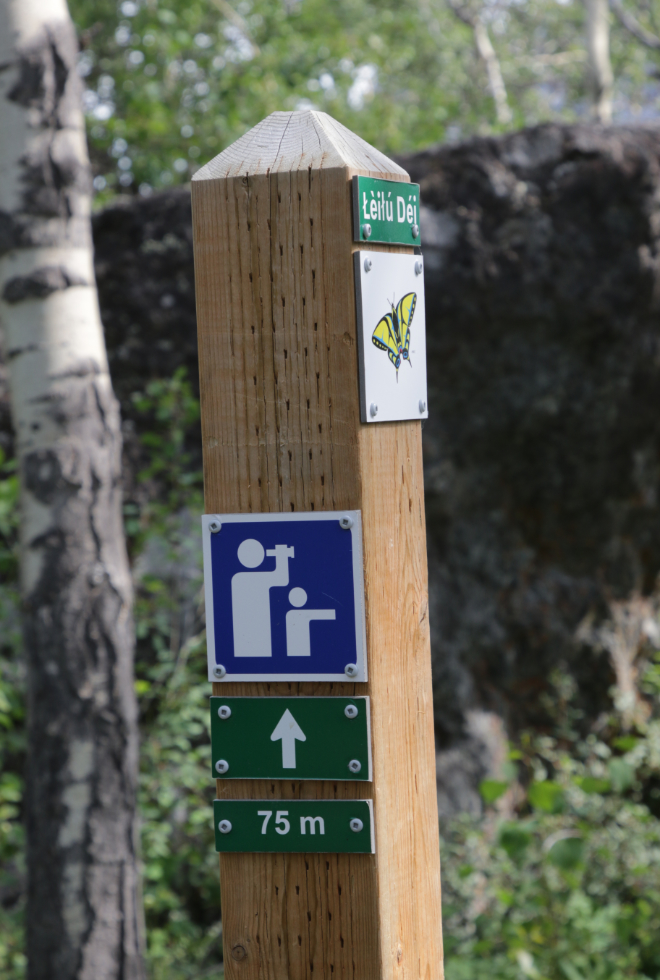 Hiking the Butterfly Trail at Conrad Campground, Yukon.