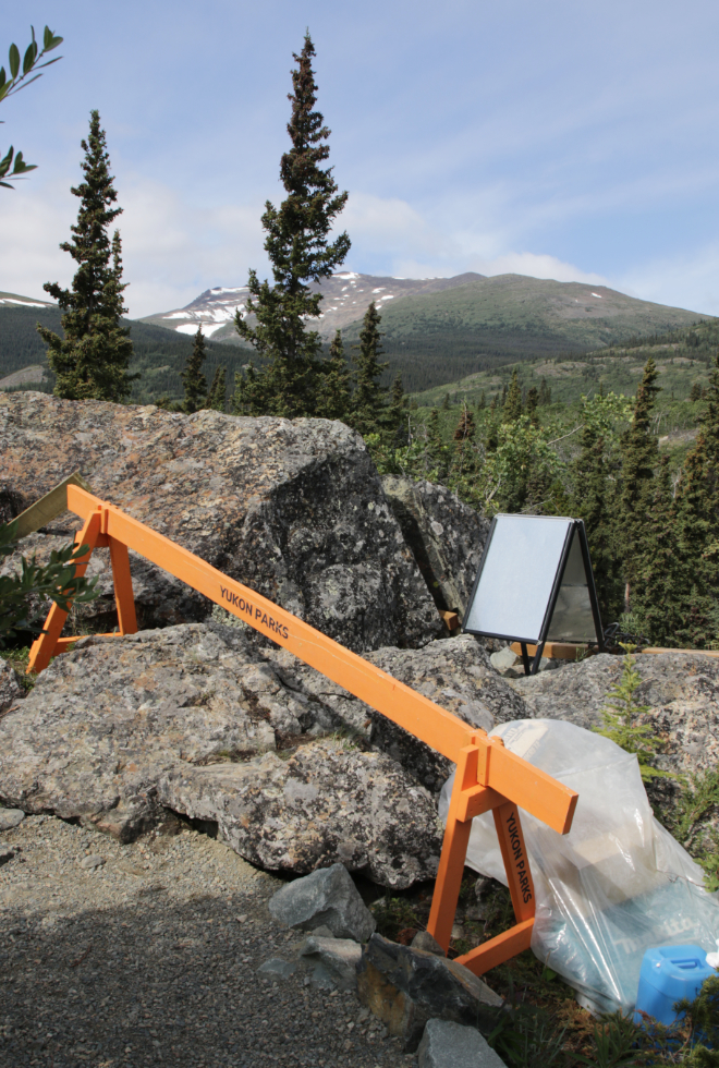 Hiking the Butterfly Trail at Conrad Campground, Yukon.