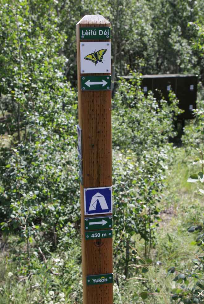 Hiking the Butterfly Trail at Conrad Campground, Yukon.