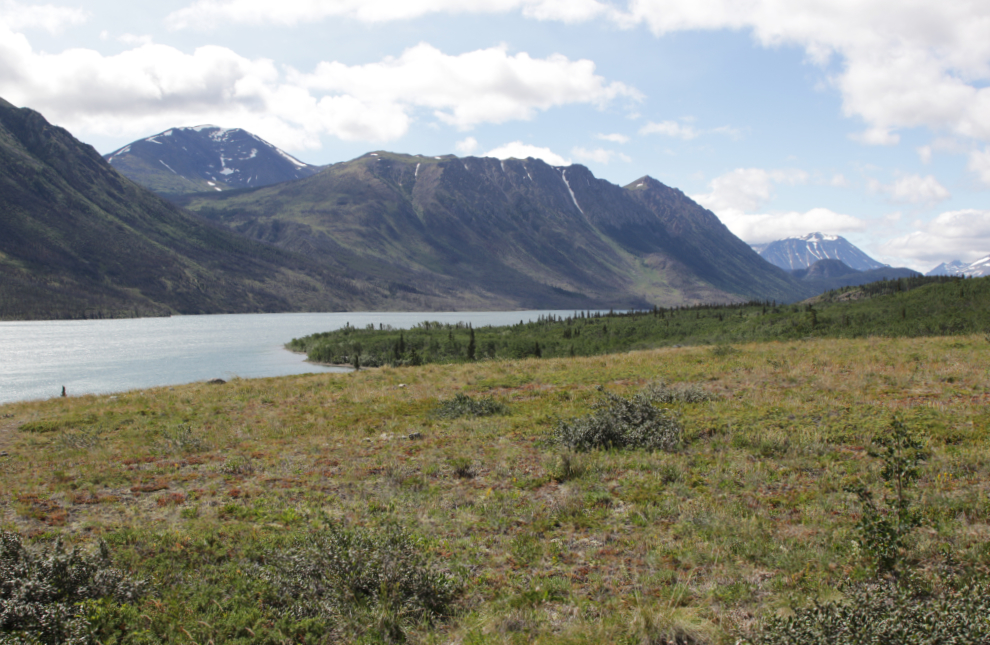 A viewpoint along the Butterfly Trail at Conrad Campground, Yukon.