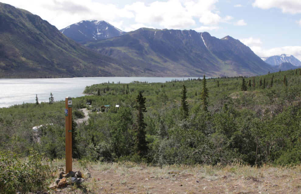 A viewpoint along the Butterfly Trail at Conrad Campground, Yukon.