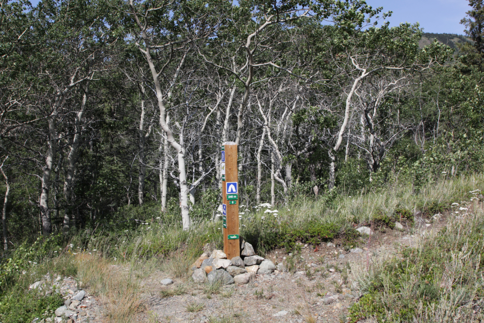 Hiking the Butterfly Trail at Conrad Campground, Yukon.