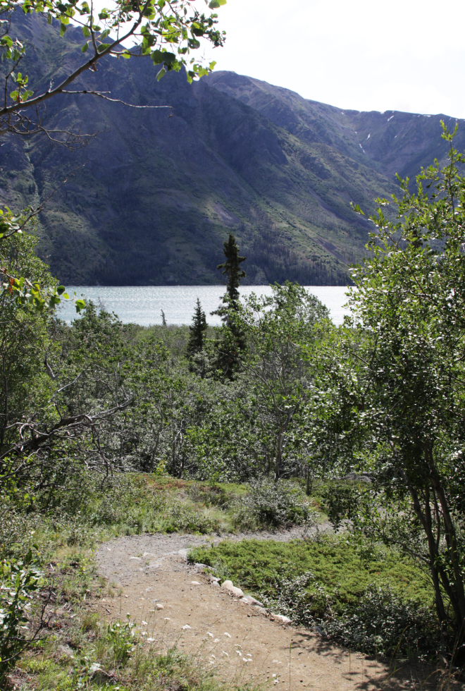 Hiking the Butterfly Trail at Conrad Campground, Yukon.