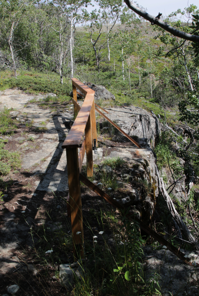 Hiking the Butterfly Trail at Conrad Campground, Yukon.