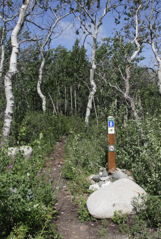 Hiking the Butterfly Trail at Conrad Campground, Yukon.