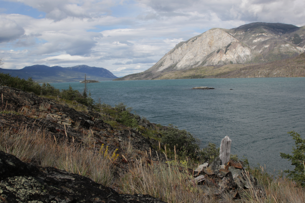 A 1905 land survey post near Conrad Campground, Yukon.