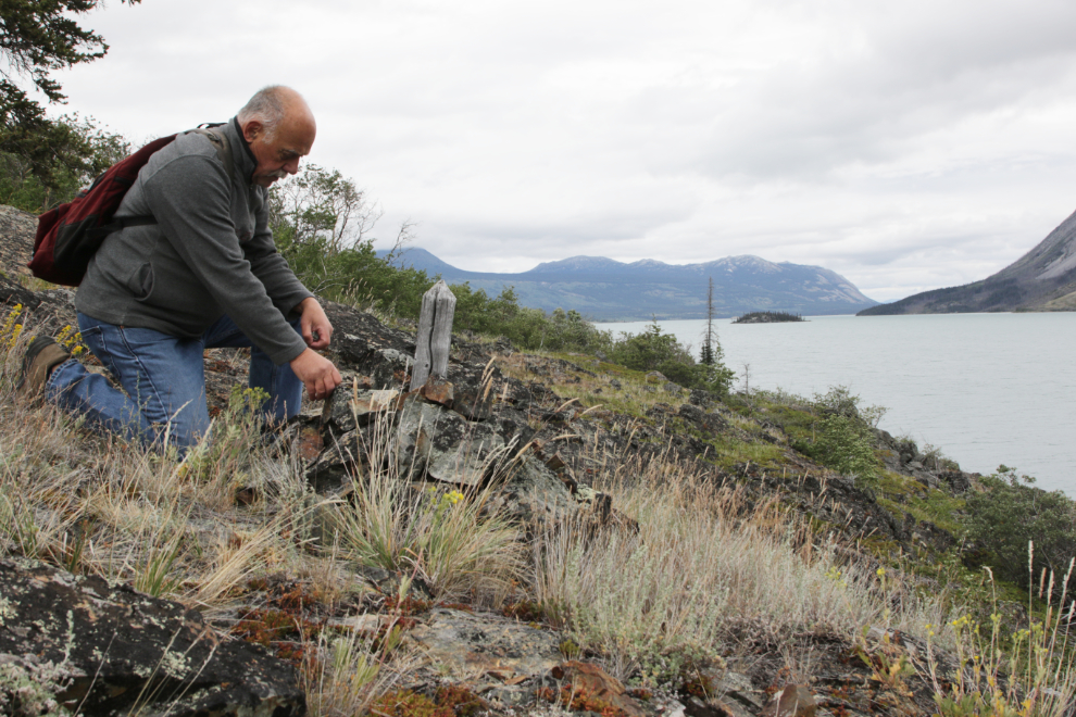 A 1905 land survey post near Conrad Campground, Yukon.