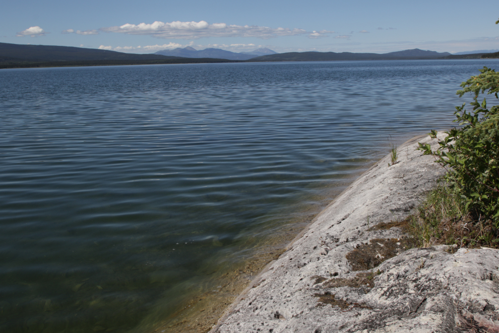 Limestone rock along Little Atlin Lake, Yukon.