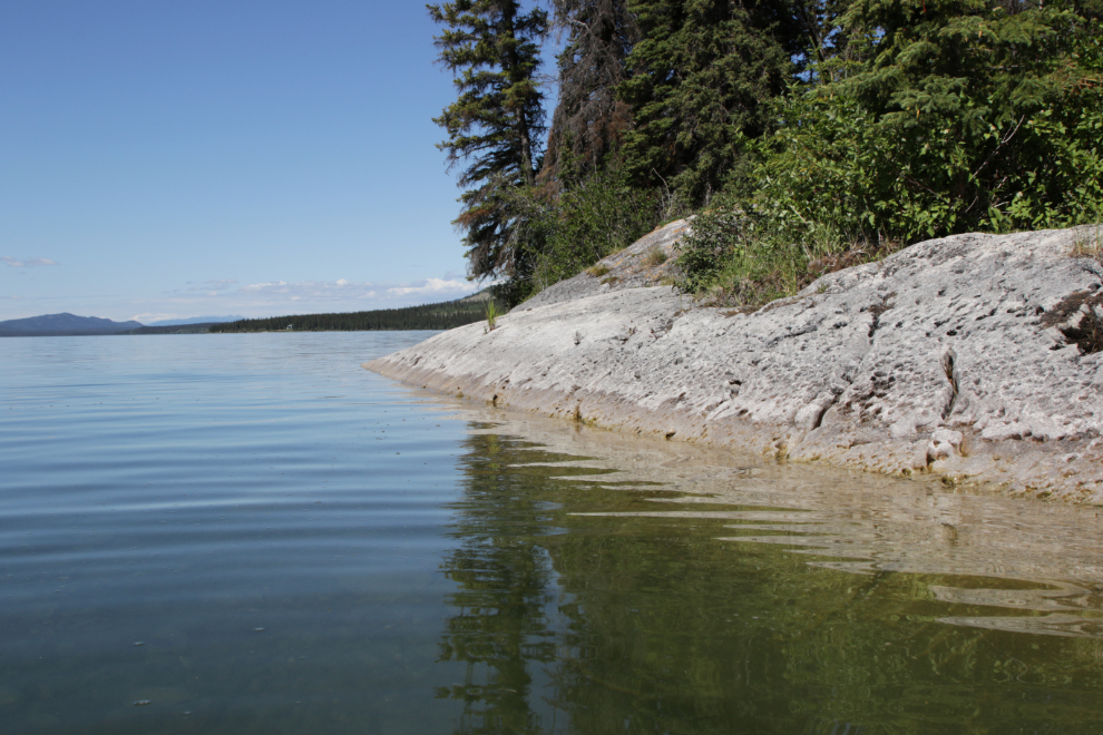 Limestone rock along Little Atlin Lake, Yukon.