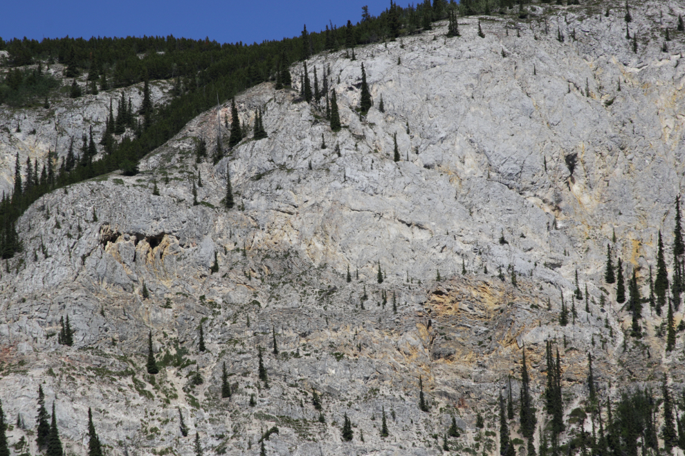 Limestone cliffs above Little Atlin Lake, Yukon