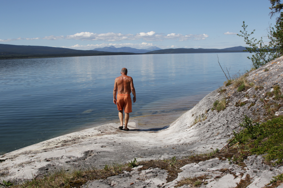 Limestone rock along Little Atlin Lake, Yukon.