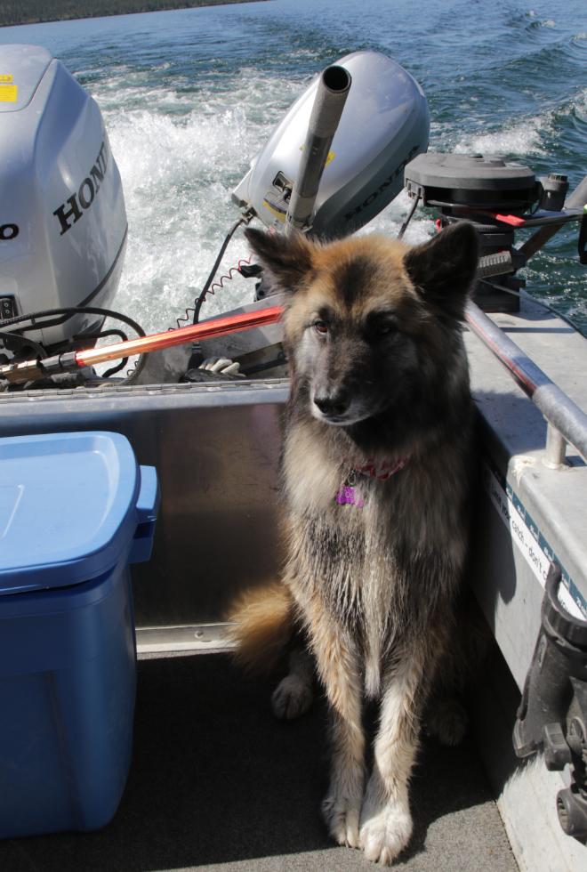 Boating on Little Atlin Lake, Yukon