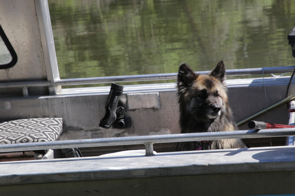 Boating at Little Atlin Lake, Yukon