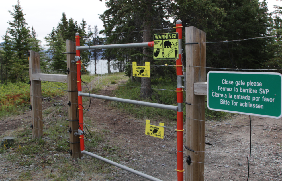 Bear-resistant electrified tenting area at Congdon Creek Campground, Yukon.