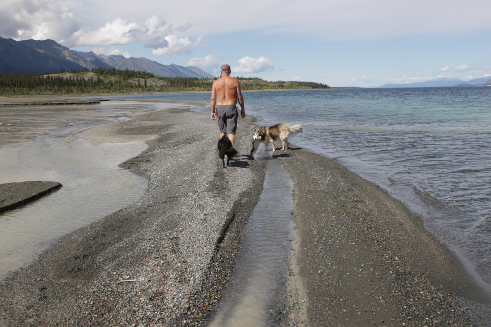 Walking on the beach at Congdon Creek, Yukon, with the dogs.