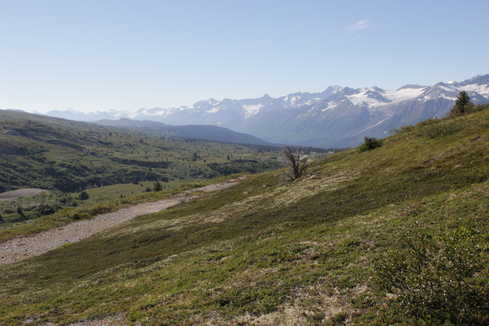 Hiking Tina Creek Ridge, Haines Highway