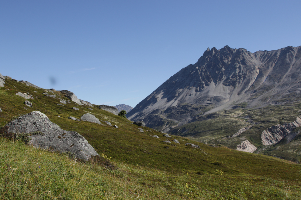 Hiking Tina Creek Ridge, Haines Highway