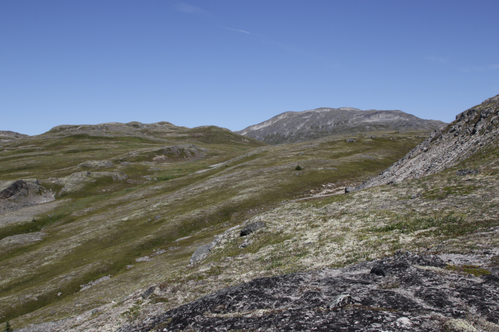 Hiking Tina Creek Ridge, Haines Highway