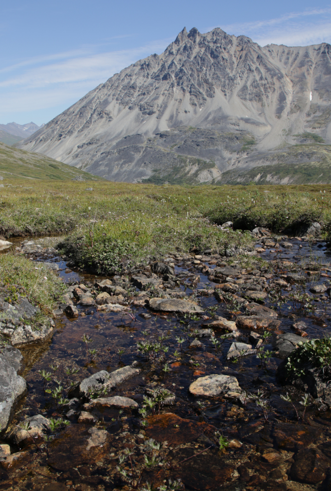 Hiking Tina Creek Ridge, Haines Highway