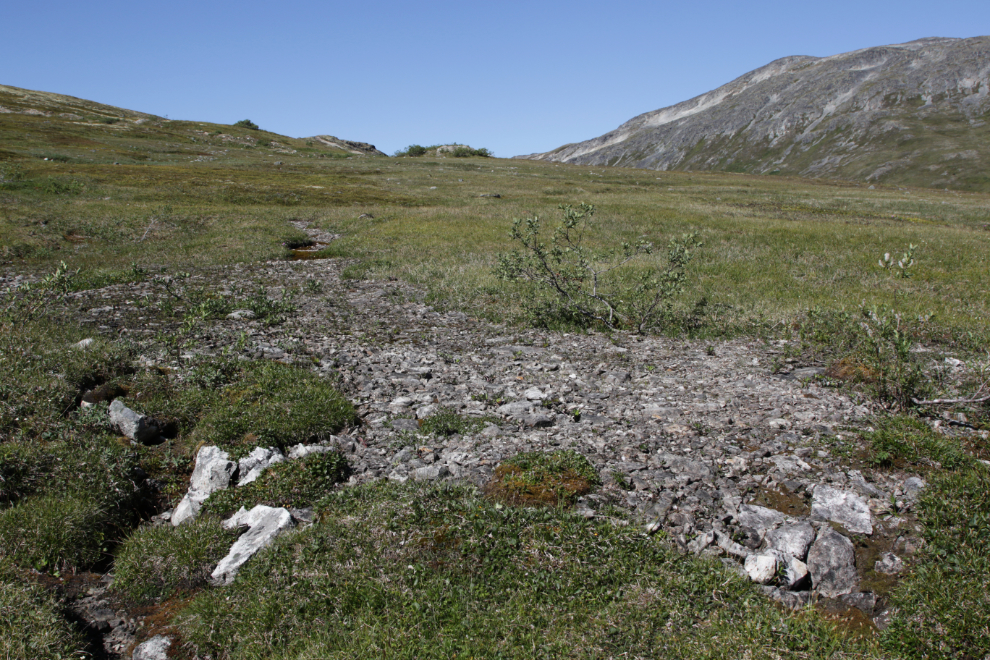 Hiking Tina Creek Ridge, Haines Highway