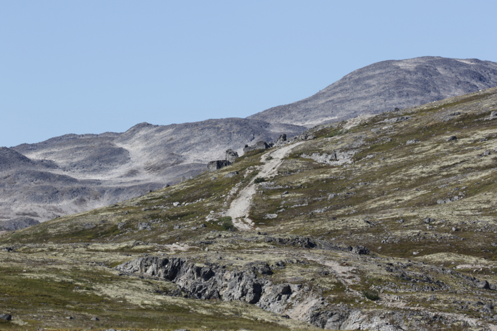 Tina Creek trail, Haines Highway.