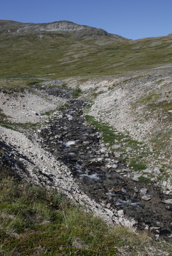 Lower Tina Creek canyon, Haines Highway.