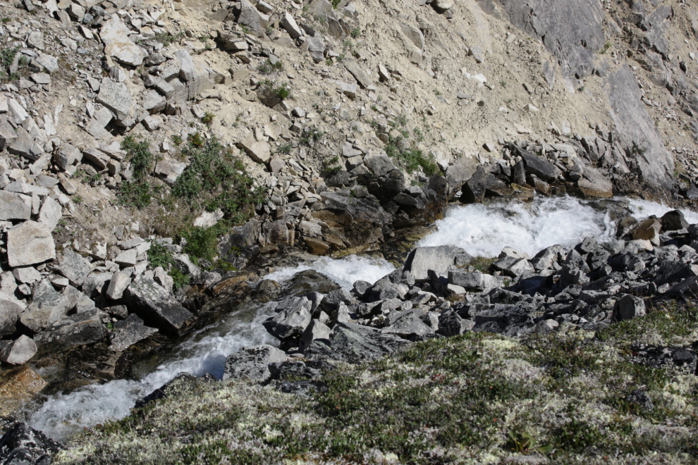 Lower Tina Creek canyon, Haines Highway.