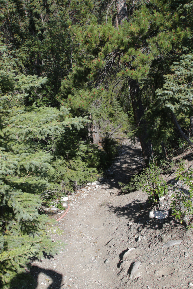 Hiking Mount White, Yukon.