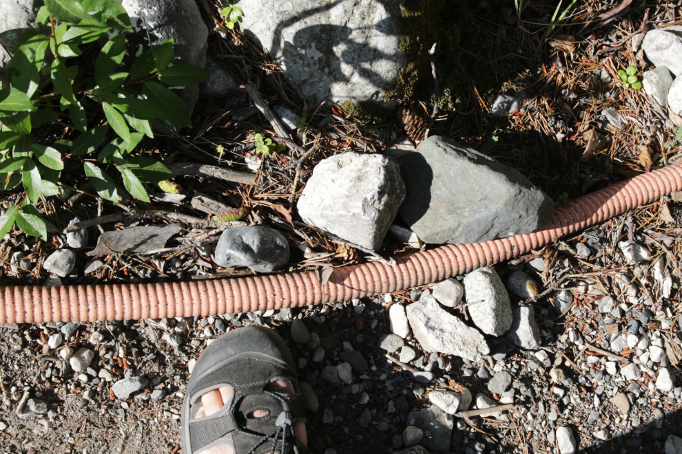 The power cable that runs along the Mount White trail, Yukon.