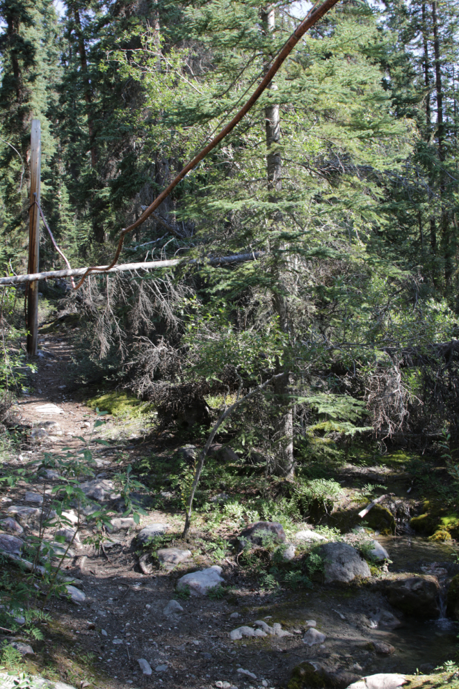 Hiking Mount White, Yukon.