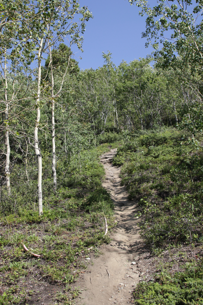 Hiking Mount White, Yukon.