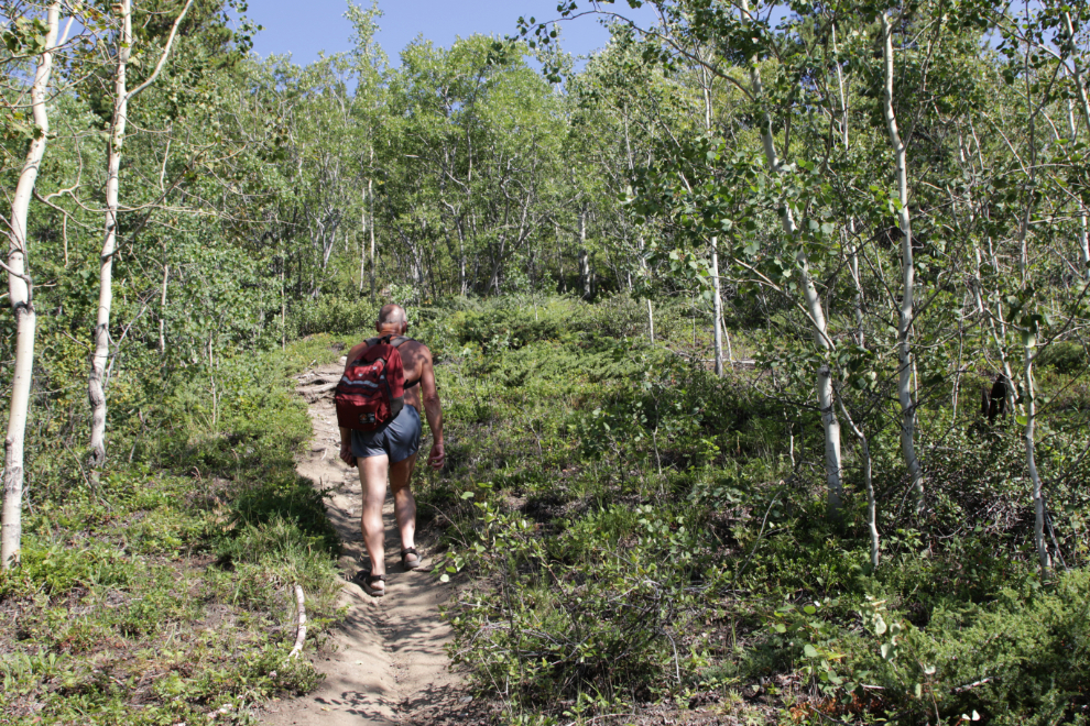 Hiking Mount White, Yukon.