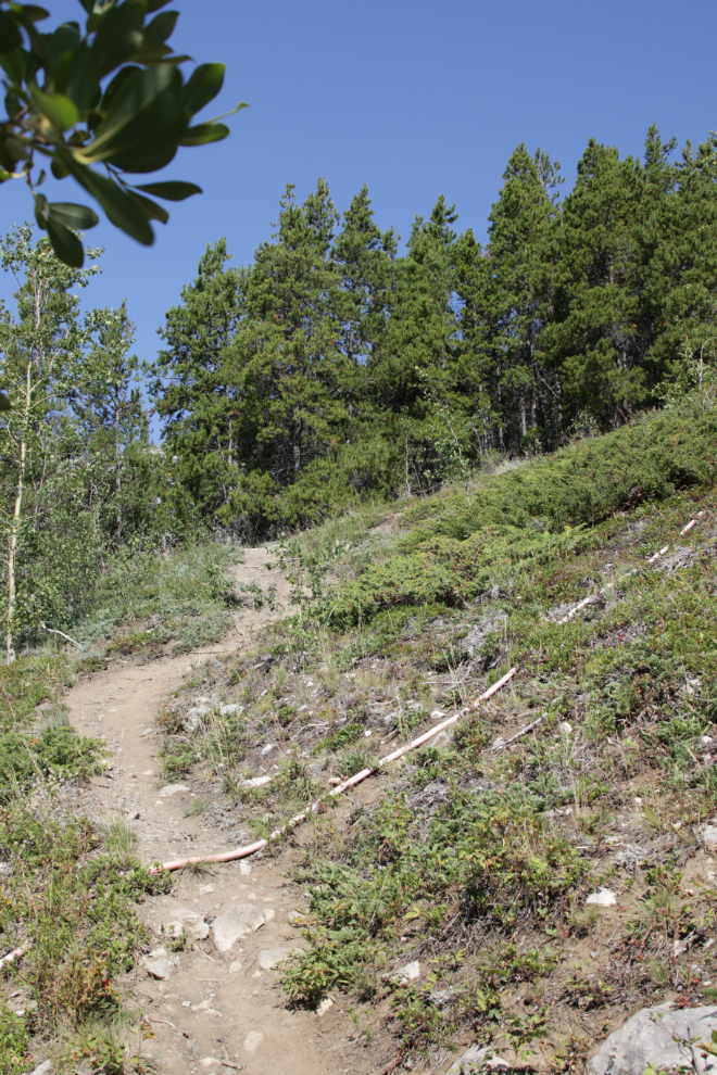 Hiking Mount White, Yukon.