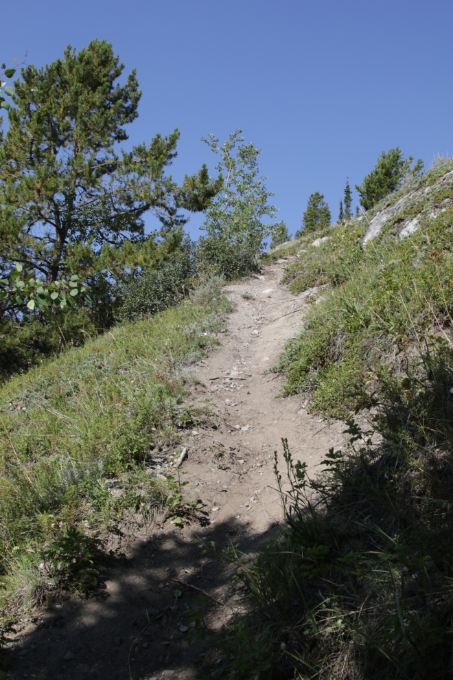 Hiking Mount White, Yukon.