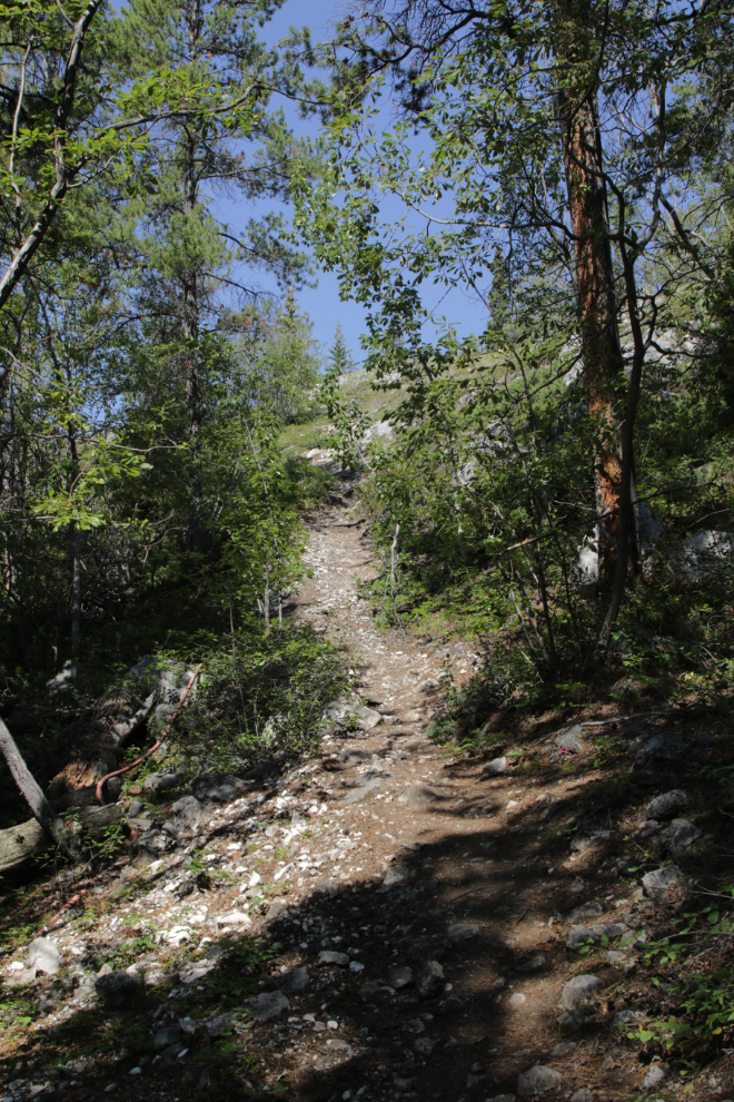 Hiking Mount White, Yukon.