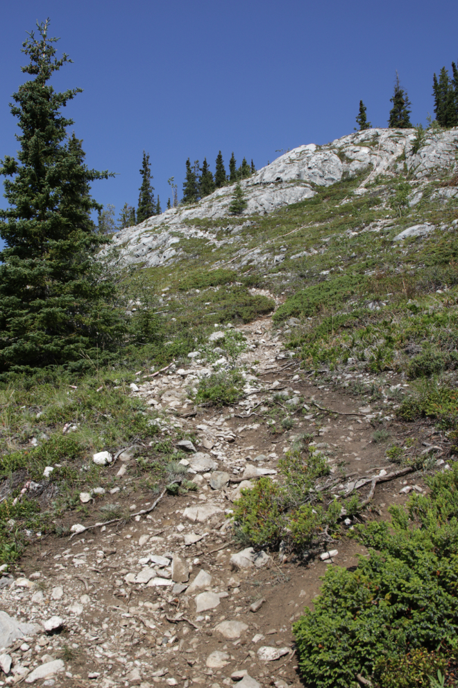 Hiking Mount White, Yukon.