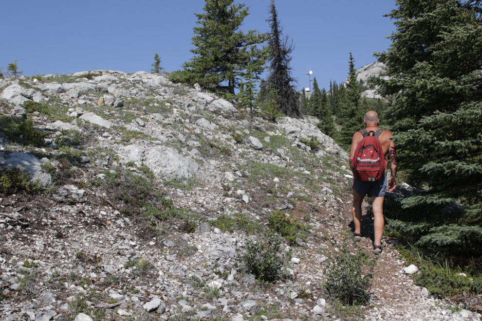 Hiking Mount White, Yukon.