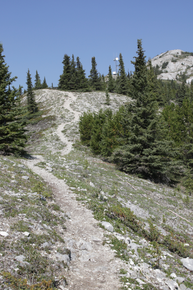 Hiking Mount White, Yukon.