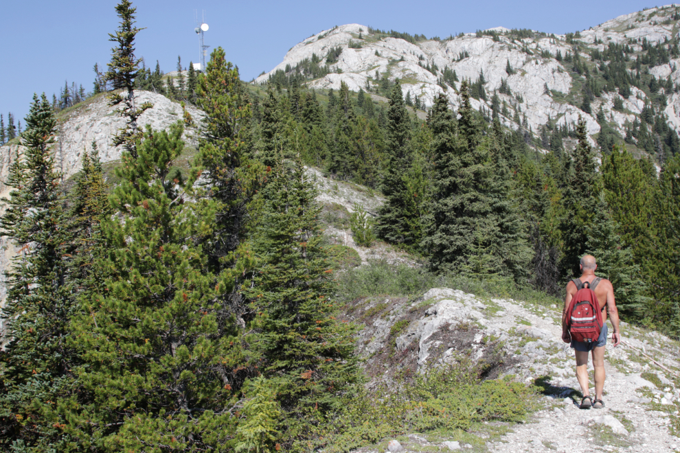 Hiking Mount White, Yukon.