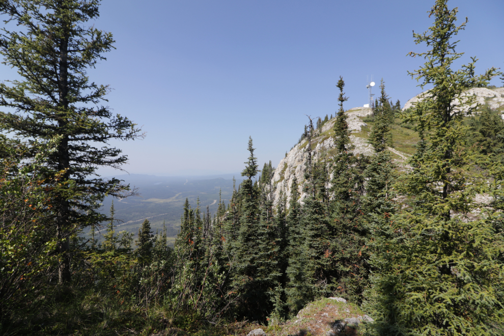 Hiking Mount White, Yukon.