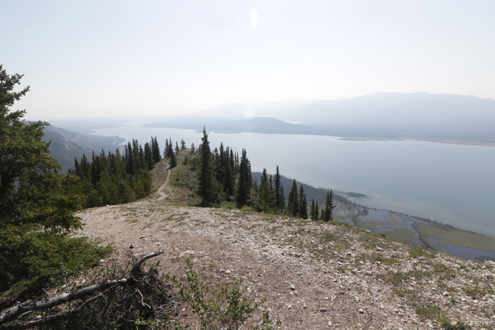 The Mount White trail, Yukon.